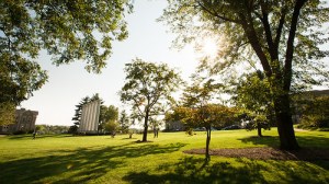 the dream of westminster