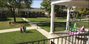 walking on the grass at westminster