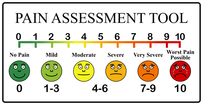 Pain_Scale__Arvin61r58