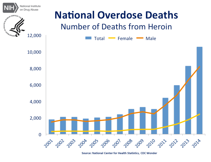 Screen Shot 2018-06-10 at 8.38.45 PM