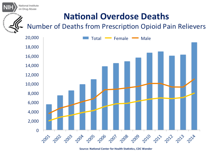 Screen Shot 2018-06-10 at 8.38.58 PM