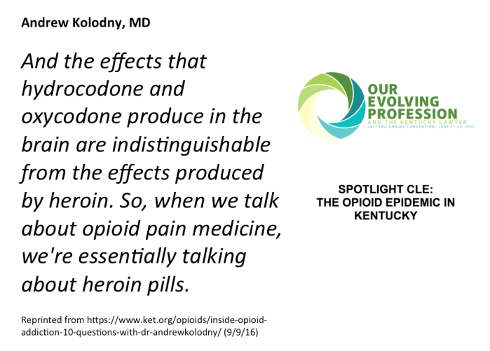 Screen Shot 2018-06-10 at 8.39.29 PM