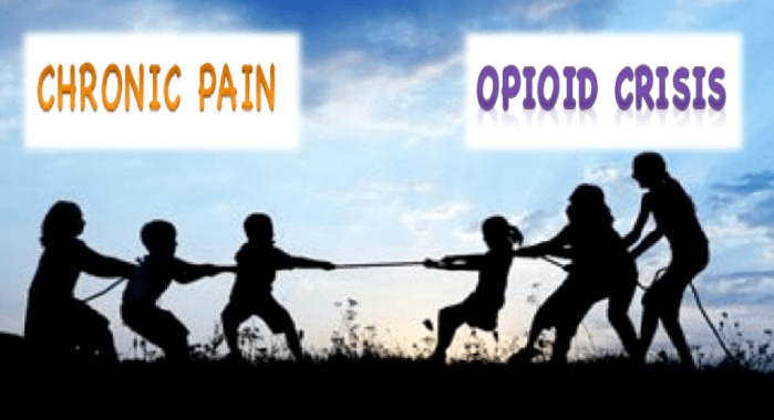 Screen Shot 2018-06-10 at 8.49.57 PM